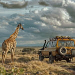 holiday in tanzania