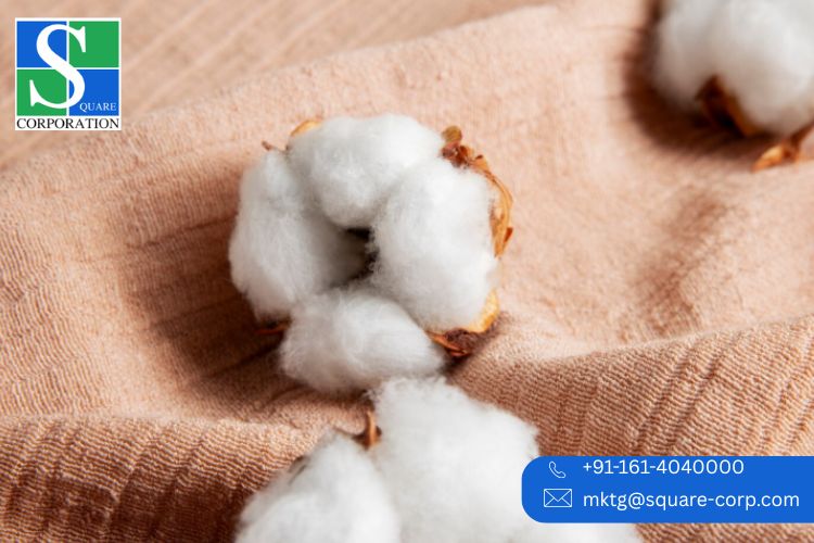 India textile manufacturing