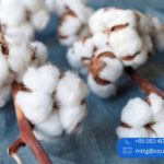 Cotton Yarn Manufacturer