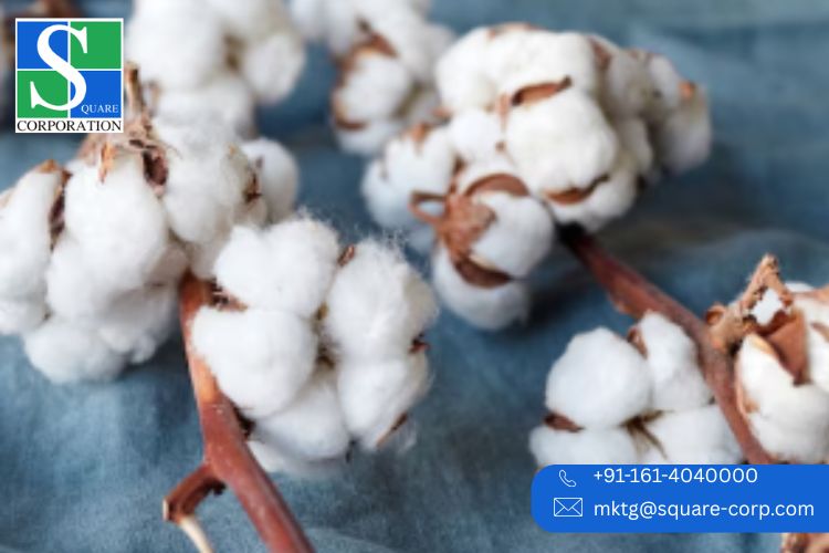 Cotton Yarn Manufacturer