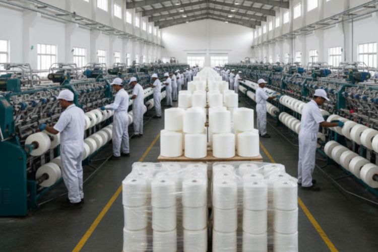 Organic Cotton Yarn Suppliers in India